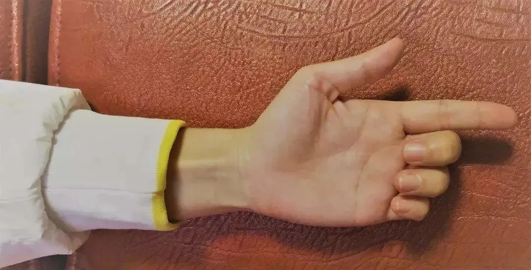 【内部教程】八段锦第二式：左右开弓似射雕，动作要点解析